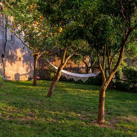 Villa Carolina Sorrento Private Heated Pool And Sea View * Sorrento
