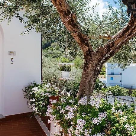 Villa Carolina Sorrento Private Heated Pool And Sea View * Sorrento