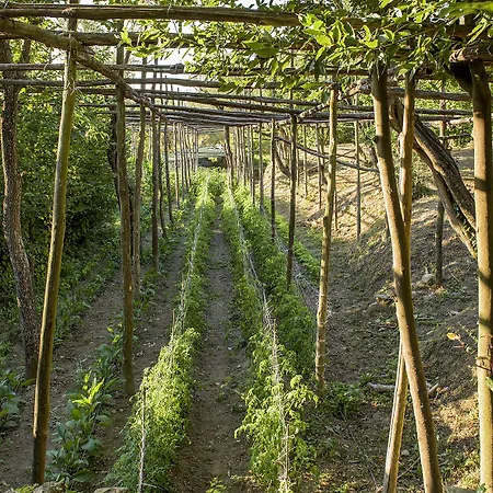 빌라 Carolina Private Heated Pool And Sea View