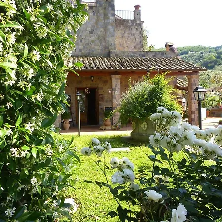 Villa Carolina Sorrento Private Heated Pool And Sea View * Sorrento